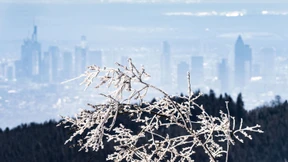 Nächste Woche kommt die Kälte