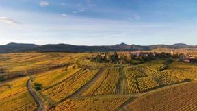 Die Kunst des Weglassens