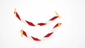 Webarbeiten über den Wandel