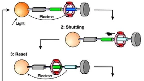 Ein Molekül als Apparat