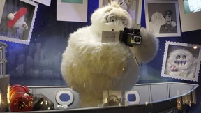 Wer soll denn den Schnee  machen?  