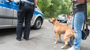 „Ein Hund gehört nicht in solche Hände“
