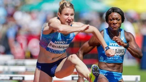 Kanadischer König und glänzende Frankfurterin