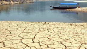 Ein Markt für das Klima 