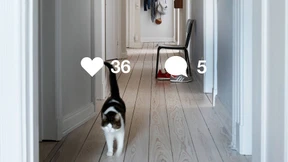 Wohnungssuche auf Instagram