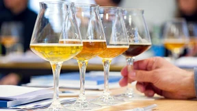 Bier kann mehr als Wein