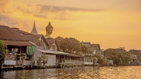 Die Schildkröte und das Karma