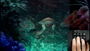 Unterwasserwelt als Hologramm