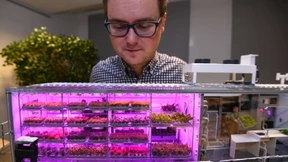 Gemüsezucht in der Antarktis