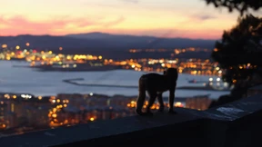 Nichts sehen, nichts kaufen, nichts versteuern