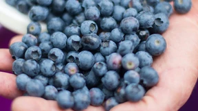 Die Beere der Stunde