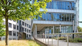 Eine irre kriminelle Energie