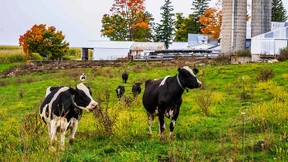 Wisconsin: Milchbauern als Präsidentenmacher
