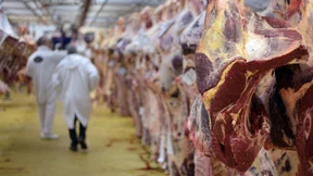 Verdorbenes Rindfleisch aus Polen in Frankreich verkauft