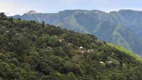 Ein Umweltsiegel zur Ablenkung