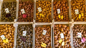 Triumph der Tartoffel