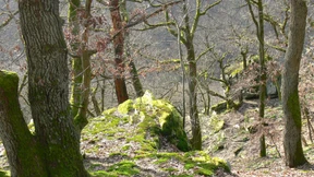 Neue Einsichten, beste Aussichten