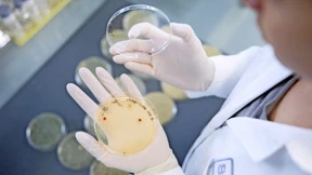 Kampf gegen Krebs und Fettleibigkeit