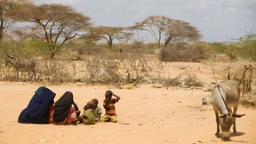 Ein ätzend scharfer Freund-Feind-Mechanismus