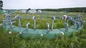 „Pflanzen nehmen nicht automatisch immer mehr CO2 auf“