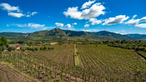 Auf zur Sonne Siziliens!