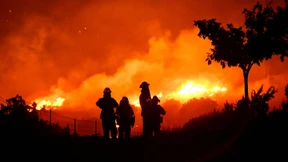 Warnung vor heißen Giften
