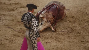 „Der Stierkampfkunst wird ihre Essenz genommen: der Tod“