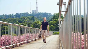 Aus dem Dschungel in den Dschungel