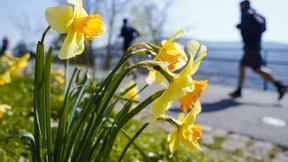 Sommerzeit – und dann gibt’s Schnee