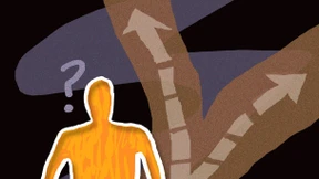 Ein kluger Bauch ist der beste Anlageberater