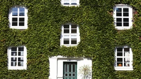 Immer an der Wand entlang