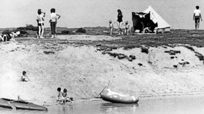 Am Flipper war Professor Adorno nicht zu schlagen