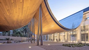 Kunstboom in Lissabon