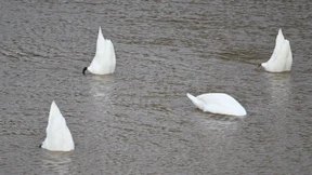 Aber die Dürre ist erstmal vorbei
