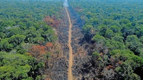 30 Prozent der Erde sollen unter Naturschutz gestellt werden