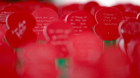 Flanderns Felder mahnen für die Zukunft