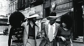 Krumme Hunde unter Druck