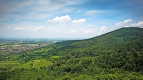 Der hohe Herr der Bergstraße