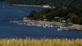 Hundebiss am Edersee war „vermeidbar“