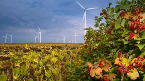 Was wird aus PNE Wind?