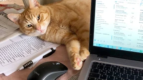 Kuriose neue Arbeitswelt