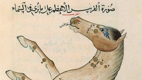 Da wiehert der Himmelsschimmel