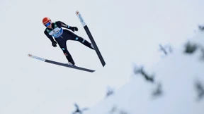 Globetrotter im Skispringzirkus