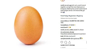 Rätsel um Rekord-Ei auf Instagram gelöst