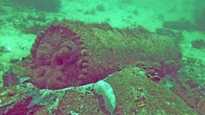 Zeitbomben in der Ostsee: Sprengstoff löst sich im Wasser