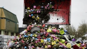 Blumen landen in den Niederlanden auf dem Müll