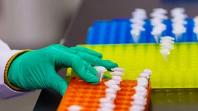 Designerbaby - für 140.000 Euro