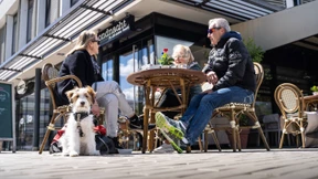 Der Flickenteppich ist zurück