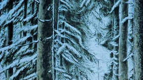 Verstörte deutsche Helden