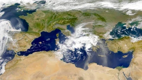 Artensterben im Mittelmeer